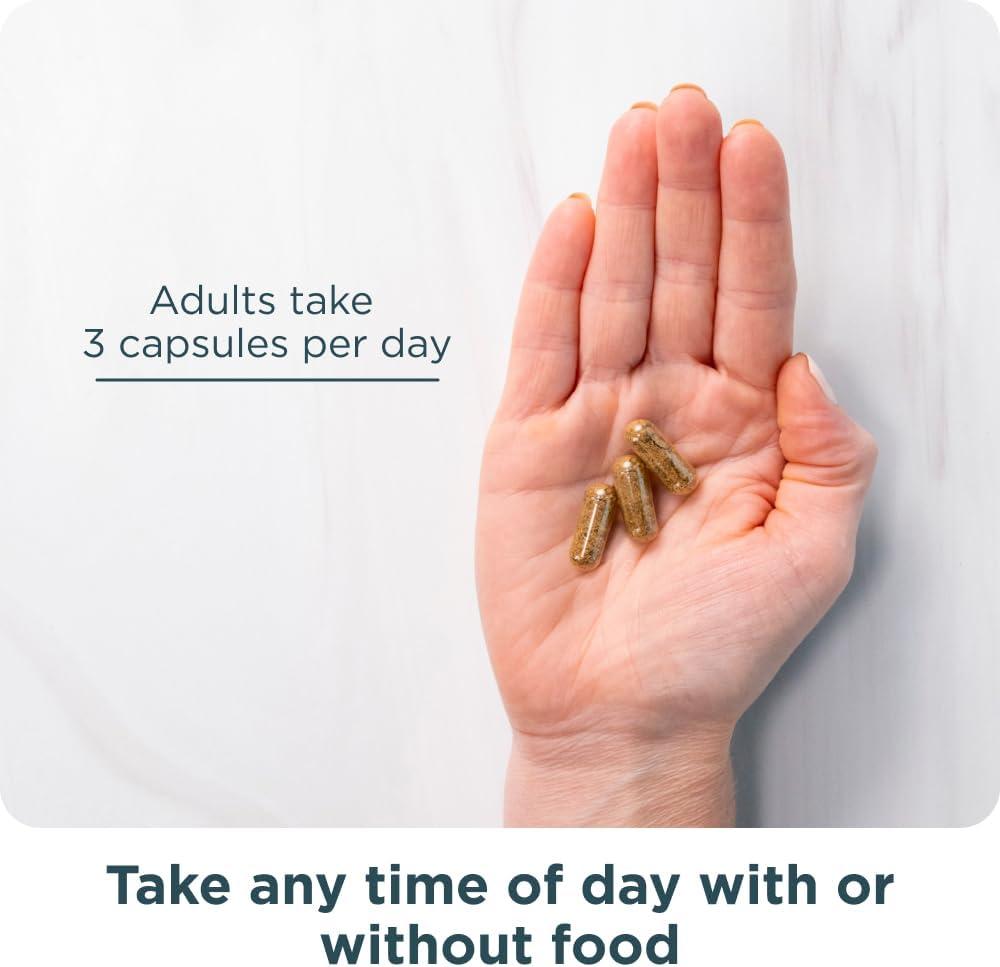 Reviewing Ancient Nutrition’s ‍Advanced ⁣Collagen Protein​ Lean